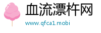 血流漂杵网